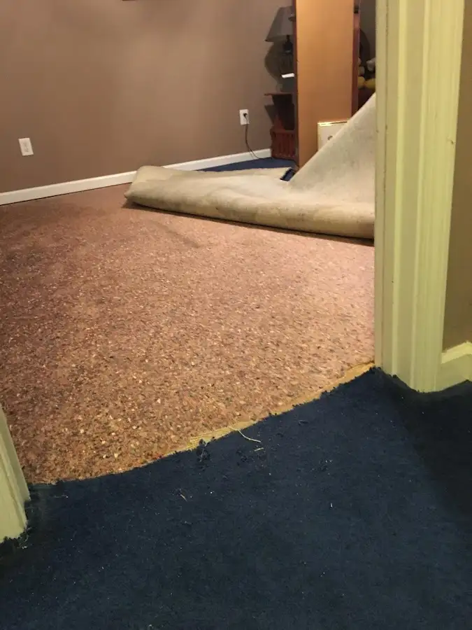 Carpet pad removal revealing water damage during Water Mitigation Services in Argentine