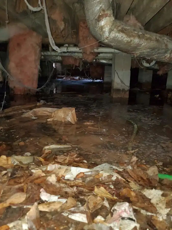 Crawl space flood assessment for Leak Detection & Repair in Argentine